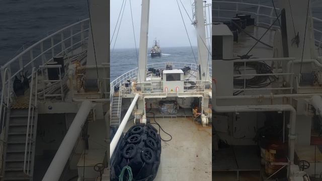 Мы сломались .. буксир 😟 смотреть онлайн