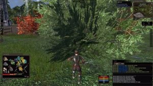 [MMORPG] DARKFALL Rise of Agon GAMEPLAY