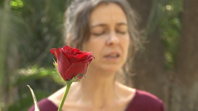 OSHO Mystic Rose смотреть онлайн