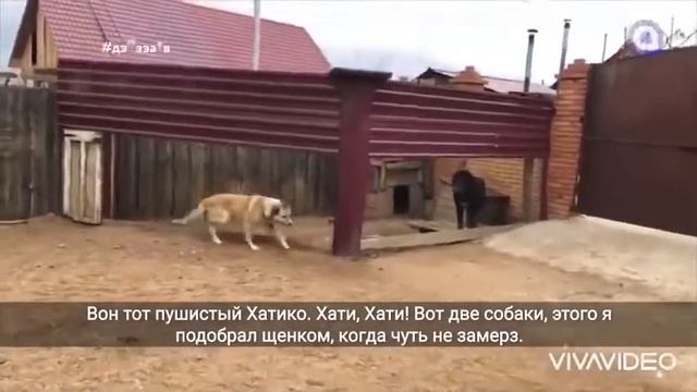 ПРОГРАММА ДЭНЗЭ | В ГОСТЯХ У АКТЕРОВ ТЕАТРА смотреть онлайн