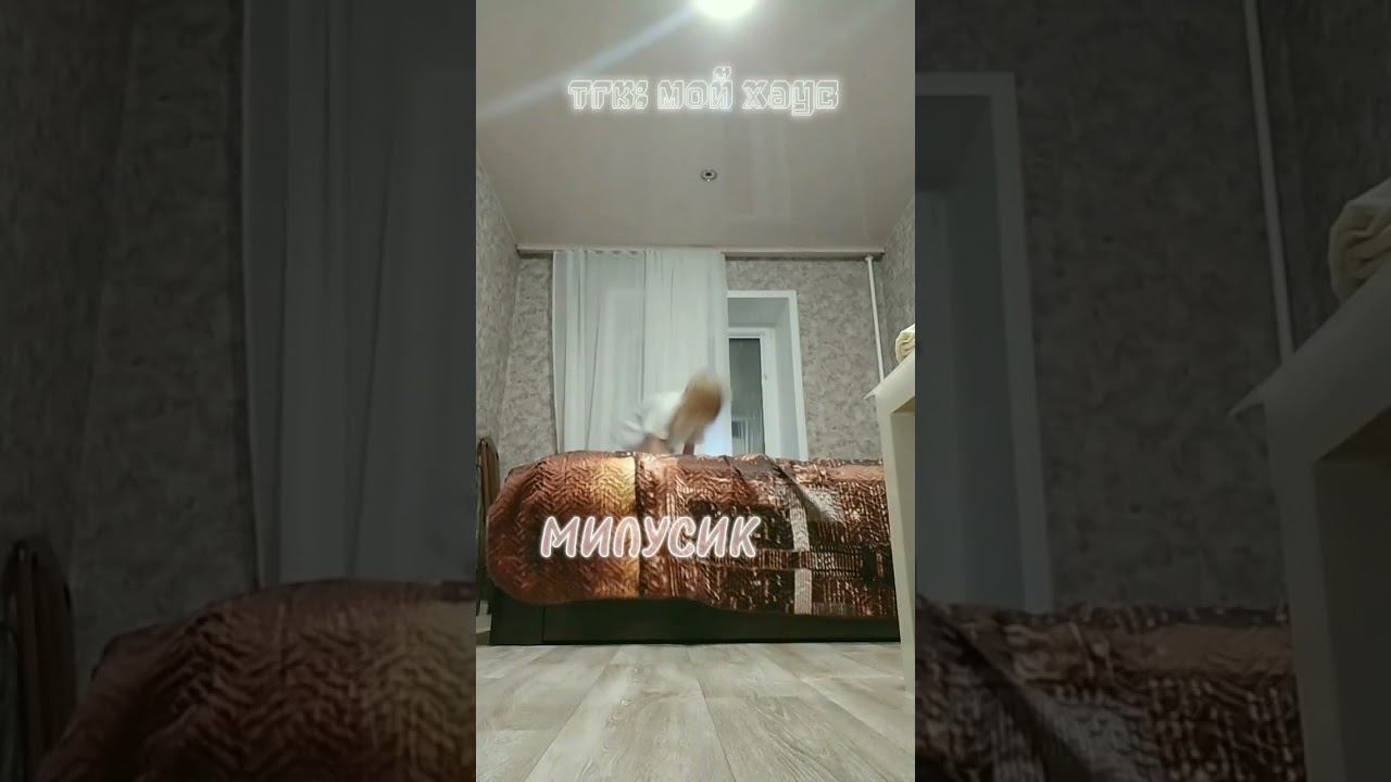 я старалась❤️ #рек #актив #квадробика #териан #прыжок #quadrobics #спорт #глобальныерекомендации смотреть онлайн