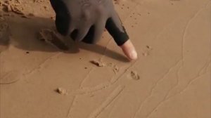 Серия 78. Поплавок. Болонка. Ловля на ''буксирчик''. Рыбалка с Нормундом Грабовскисом.