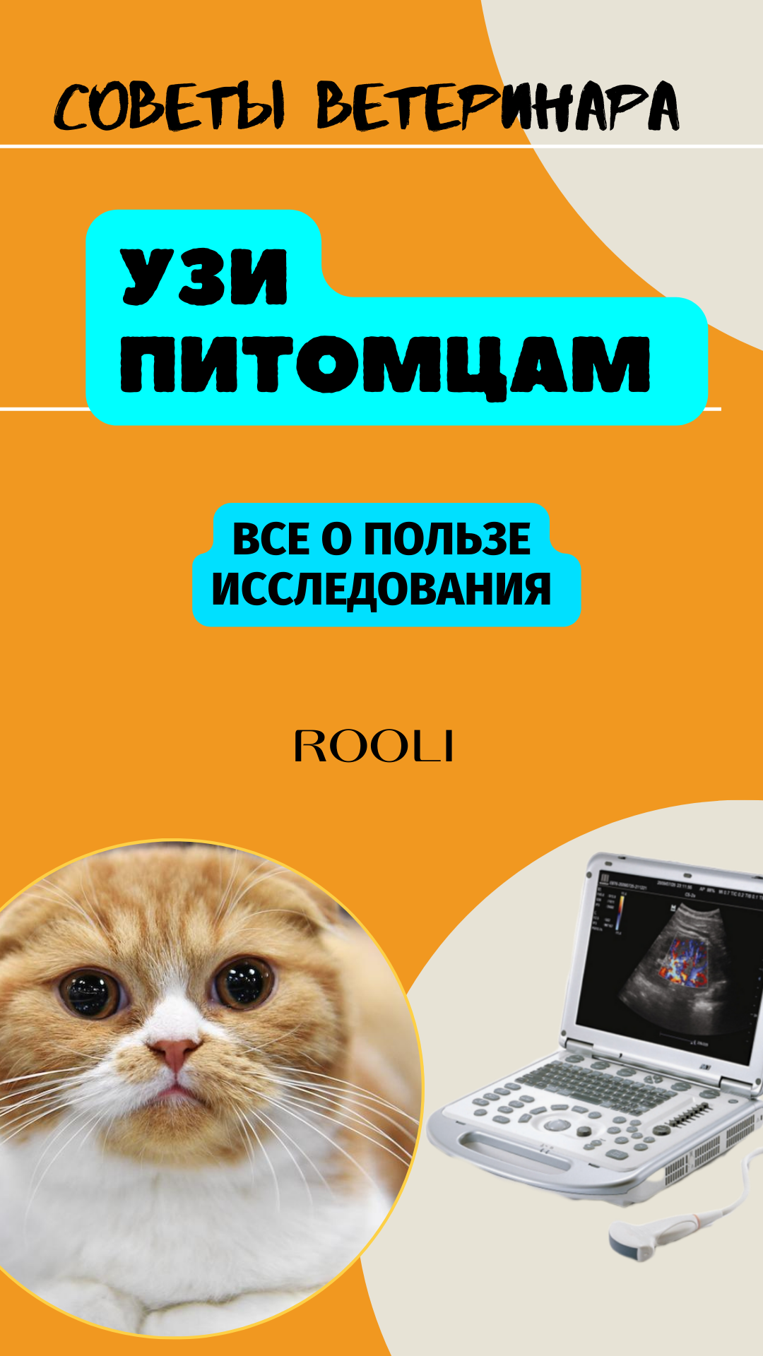 УЗИ домашним животным. Все о пользе исследования. смотреть онлайн