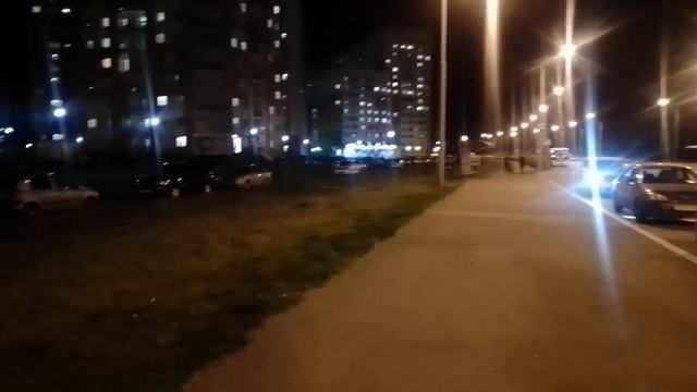 Как приучить кота к лотку смотреть онлайн