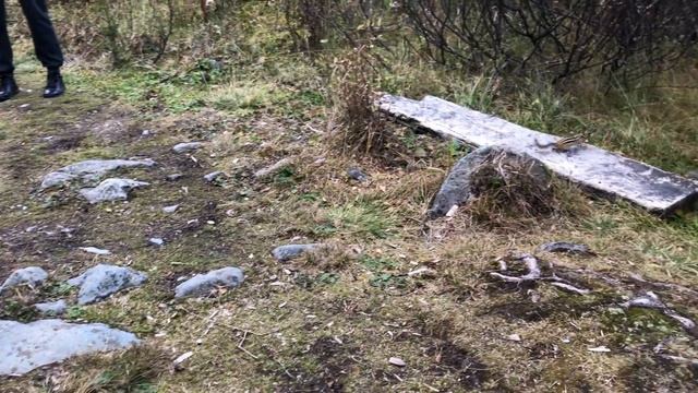 По медвежьим следам на Мультинские озера! Горный Алтай. Самые красивые и дикие места. смотреть онлайн