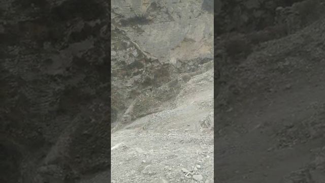Бузнаса нух дорога предков Ахатлинское ущелье смотреть онлайн