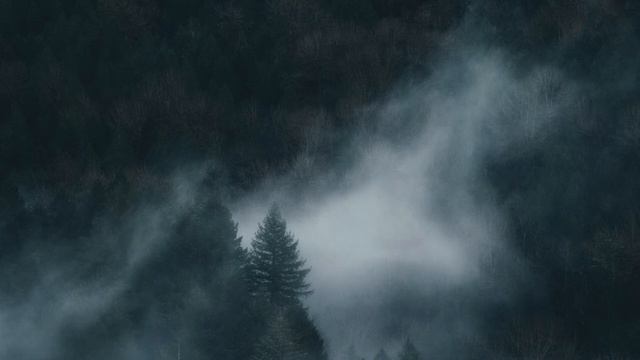 НОЧНОЙ ЛЕС 10 ЧАСОВ ЗВУКИ ПРИРОДЫ БЕЗ РЕКЛАМЫ ВНУТРИ. NIGHT FOREST SOUNDS. NATURE SOUNDS/ смотреть онлайн