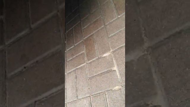 Обзор Chevrolet Aveo (T200) 1.5 2005 смотреть онлайн