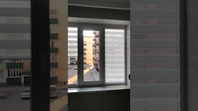 Рулонные жалюзи Зебра (день/ночь) смотреть онлайн