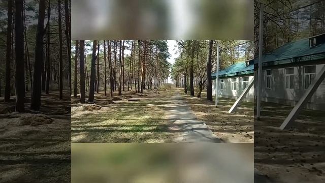 Бузули, Санаторий. Амурская область. смотреть онлайн