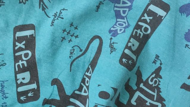 VID_20240530_151940.mp4