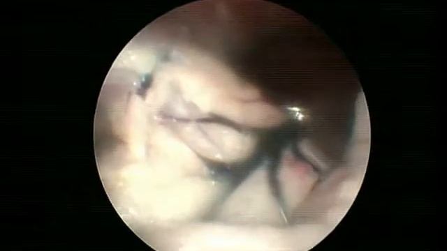 Саратов март 2012 смотреть онлайн