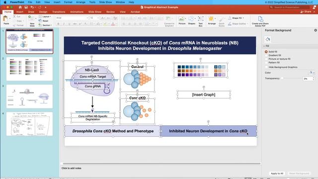 How to Make Graphical Abstracts in PowerPoint with Free Templates смотреть онлайн