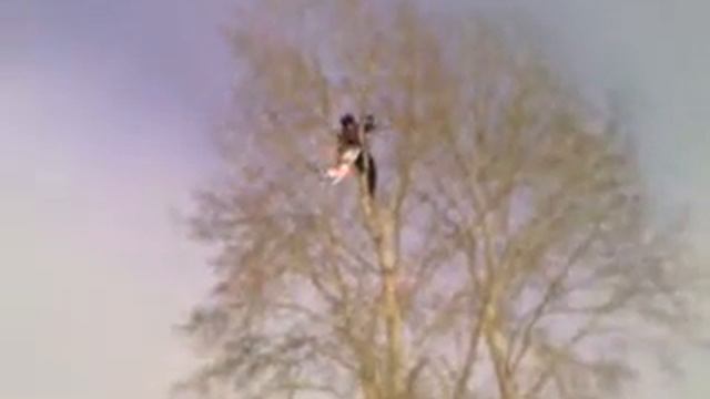 Самолетики 2008г. Дерево :) смотреть онлайн