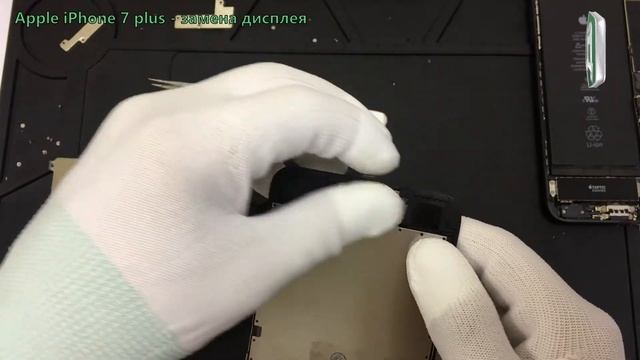 Замена дисплея (экрана) на IPhone 7 Plus. Как разобрать Айфон 7 плюс