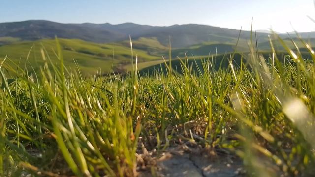 Джо Лансдейл "Стрела пущенная в воздух" (redneck FM). Читает Владимир Князев смотреть онлайн