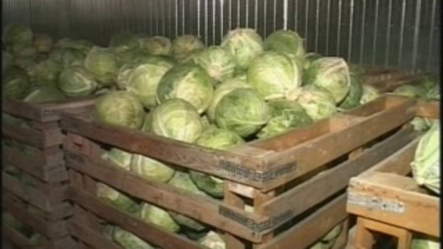 губернатор смотреть онлайн