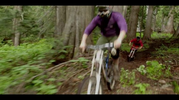 Жизненные циклы / Life Cycles