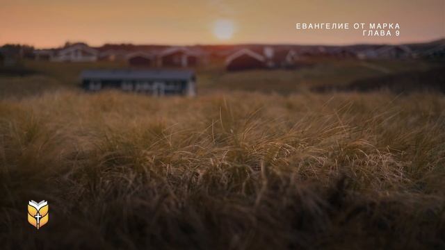 Евангелие от Марка под звуки природы. Современный перевод Библии #biblevision смотреть онлайн