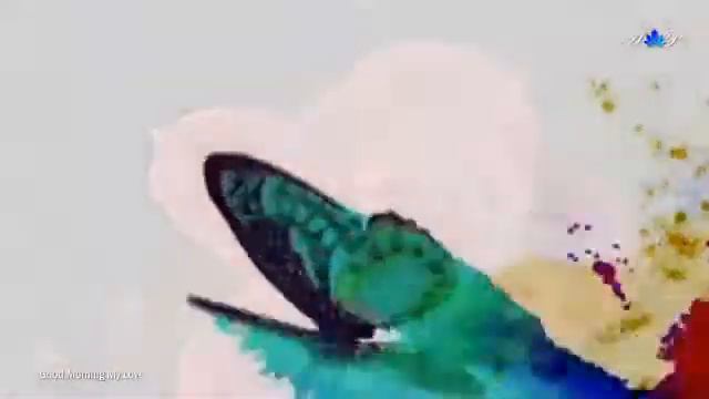 лечебные цветы florile lecuitoare смотреть онлайн
