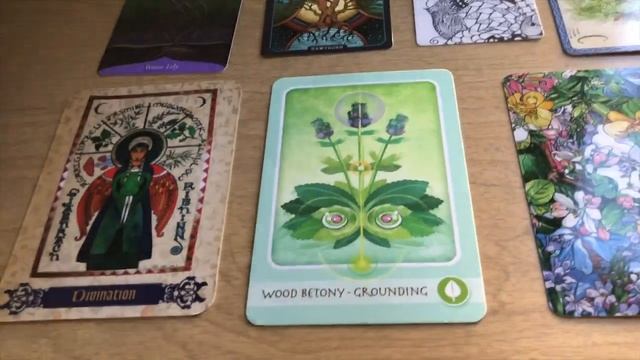 Herb Oracle Episode 104: Technology Offers Your Future NOTHING смотреть онлайн
