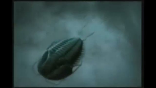 НЕИЗМЕННОСТЬ ДРЕВНЕЙШИХ ФОРМ ЖИЗНИ смотреть онлайн