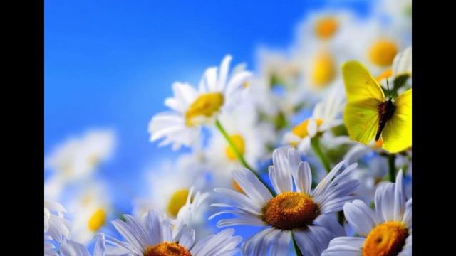 Устарели сертификаты безопасности. Перестали открываться сайты в старых Windows смотреть онлайн