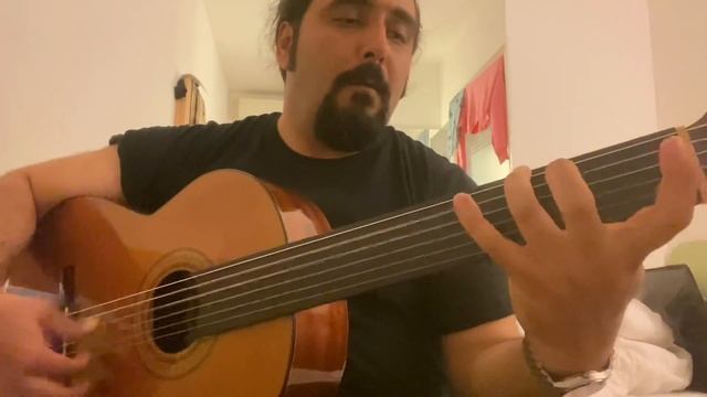 Fretless Classical Flamenco Guitar (trip ) смотреть онлайн