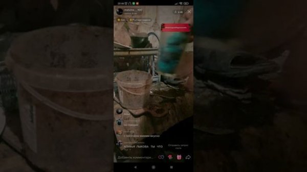 malvina 100 тик ток запись стрима