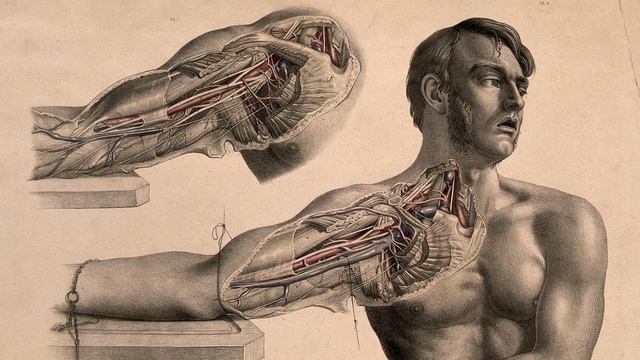 #88 Карл Юнг, что такое процесс ИНДИВИДУАЦИИ - перевод [Academy Of Ideas]