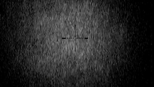 Заяц на поле в прицел Digisight N770 смотреть онлайн