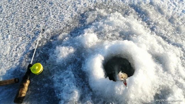 РЫБАЛКА НА СУДАКА САМАЯ БЫСТРАЯ. смотреть онлайн