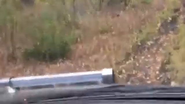 СКАЗОЧНЫЙ ДВОРИК НИКИТА НА ГОЛУБЫХ ОЗЕРАХ смотреть онлайн