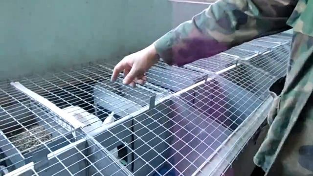 Белый паннон смотреть онлайн