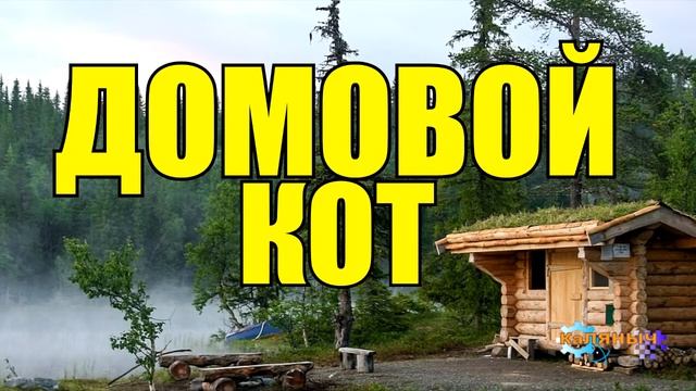 0803 - ДОМОВОЙ В ДОМЕ - КАК ПОДРУЖИТЬСЯ _ КАК УВИДЕТЬ ДОМОВОГО _ СУДЬБА ЧЕЛОВЕКА.mp4