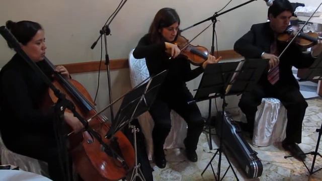 Bésame mucho - 2 Violinistas y Cello . Musica de Recepcion смотреть онлайн