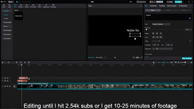 Editing until my 9 hours of footage is reduced to 10-25 minutes. смотреть онлайн