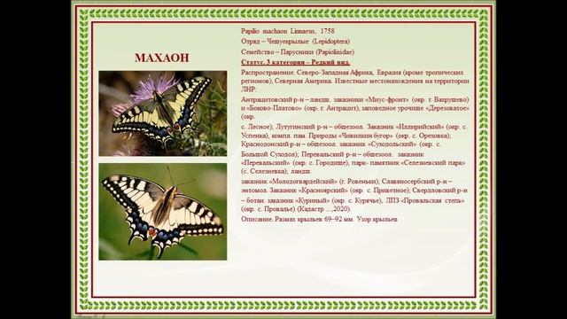 Красная книга символ надежды! смотреть онлайн