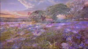 Красивая расслабляющая музыка - Потрясающая природа и спокойная музыка