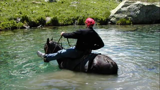 Домбай.Конные туры.Лошади смотреть онлайн