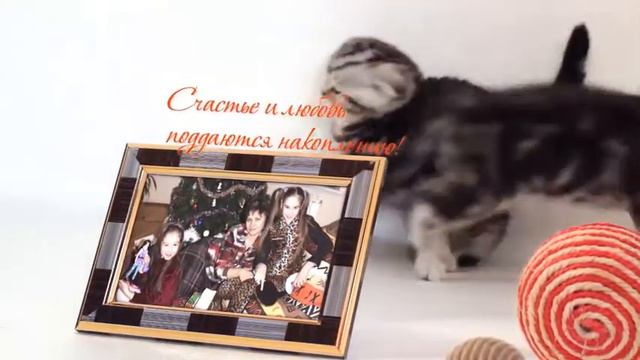 Ксюшенька, с Днем Рождения! С 15-летием! 04.02.2021 смотреть онлайн