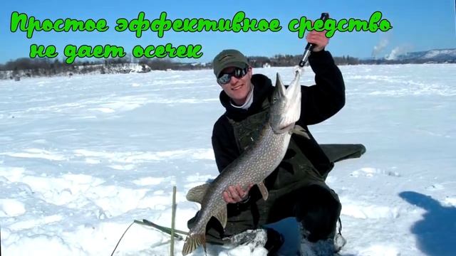 Обзор, отзывы активатор клева - приманка для рыбы fish hungry (фиш хангри) смотреть онлайн