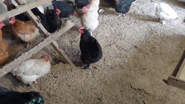 Хочу стать богатым смотреть онлайн