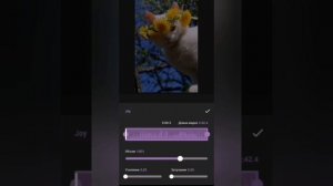 Как наложить музыку на видео в программе InShot с телефона. #ИНФОпродюсер_Омрада