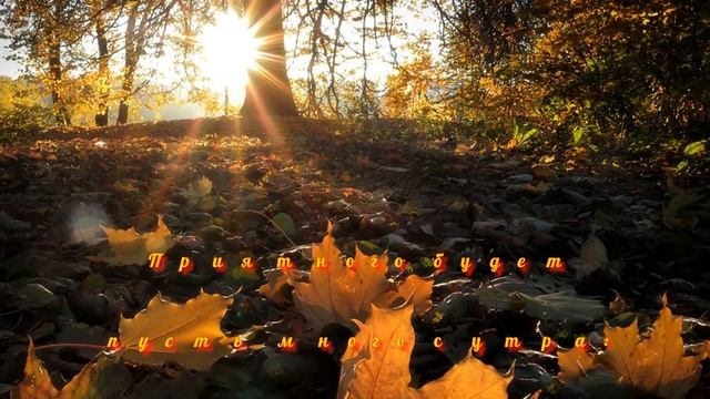 С ДОБРЫМ ОСЕННИМ УТРОМ Красивое видео поздравление смотреть онлайн