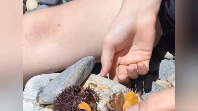 МЫ НА МОРЕ НАКОНЕЦ - ТО 🏖Деликатесы, птички и вечная ЕДА 🤦♀️ смотреть онлайн
