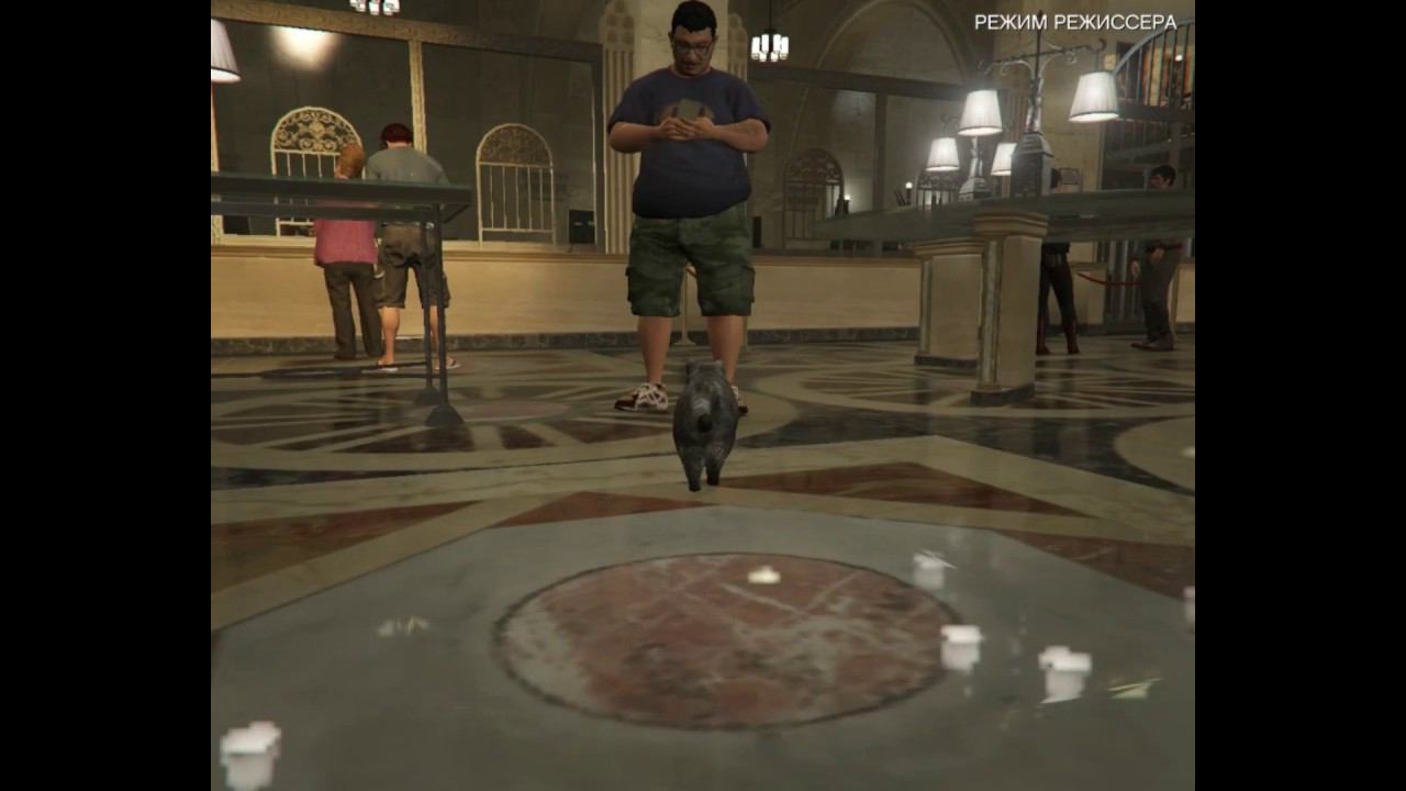 Бродячий кот угар (первый ролик, простите за качество)