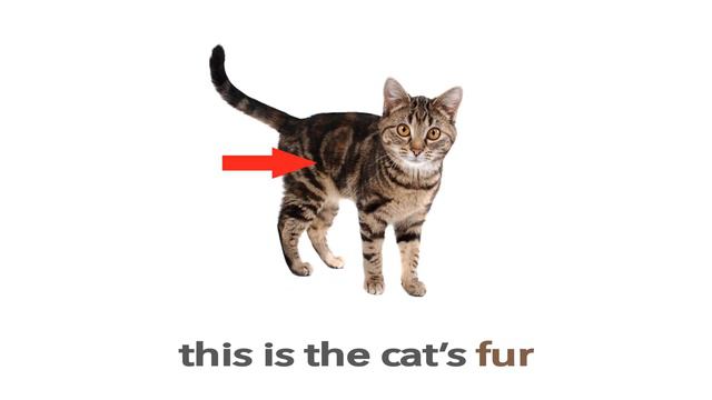 Pronounce 8 Cat Words in British English | Vocabulary with Pictures смотреть онлайн