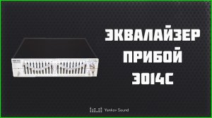 Эквалайзер Прибой Э014С