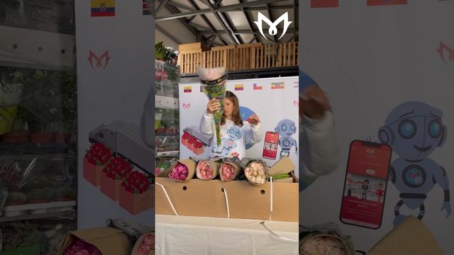 КУСТОВАЯ РОЗА ИЗ КЕНИИ | Обзор и распаковка коробки кустовых роз Bombastik от плантации Flora Ola смотреть онлайн